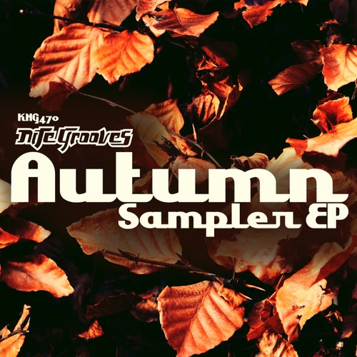 Nite Grooves Autumn Sampler EP