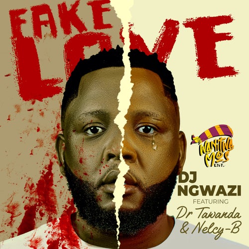 Fake Love (feat. Dr Tawanda & Nelcy-B)