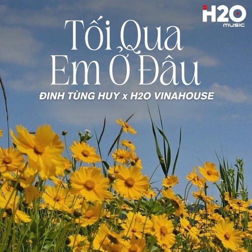 Tối Qua Em Ở Đâu (Remix)