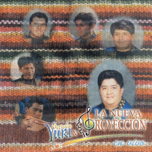 No Vuelvo a Amar