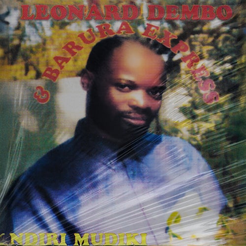 Ndiri Mudiki