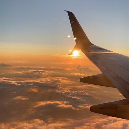 The Flight