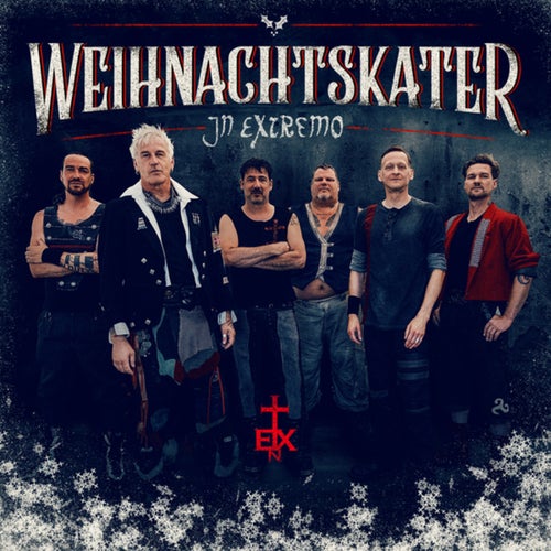 Weihnachtskater