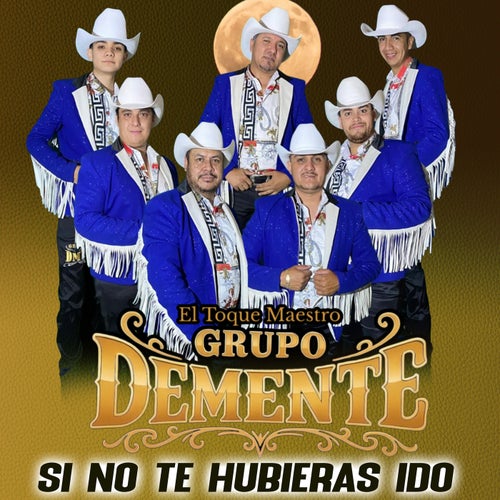 Si No Te Hubieras Ido