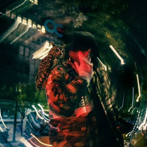 OWL CITY