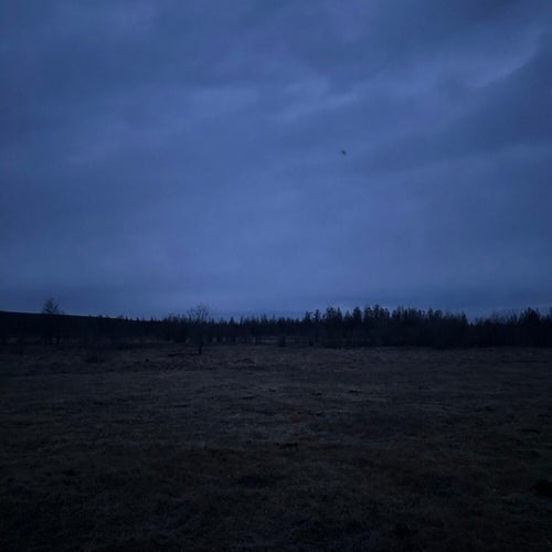 Dark Place