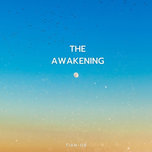 THE AWAKENING