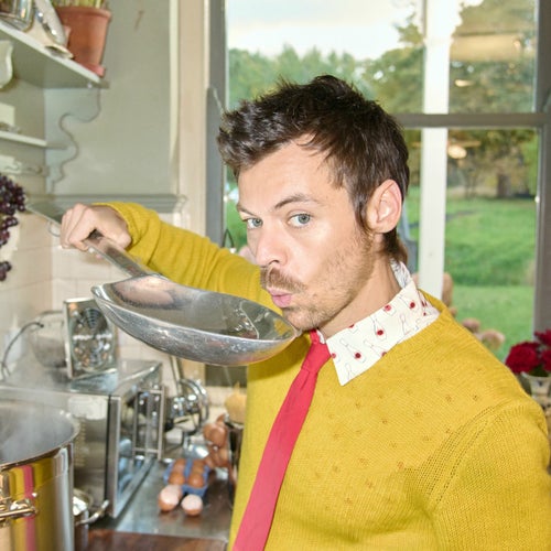 Harry Styles Profile