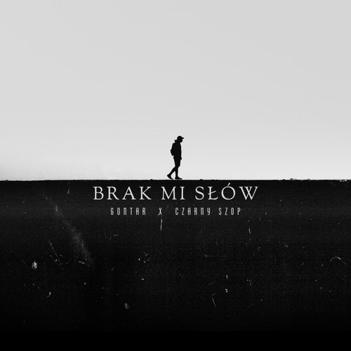 Brak mi słów