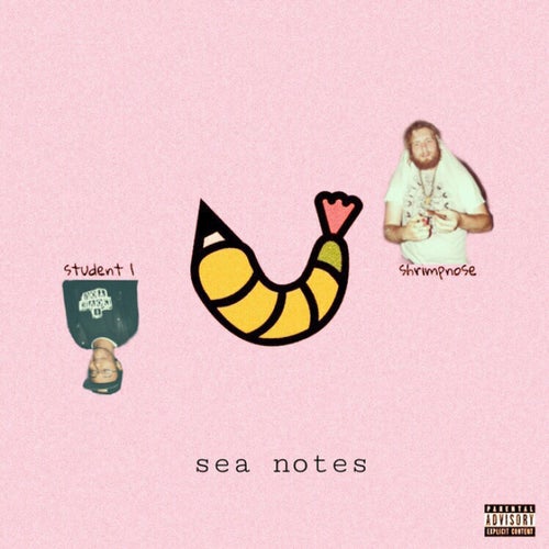 Sea Notes