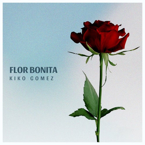 Flor Bonita