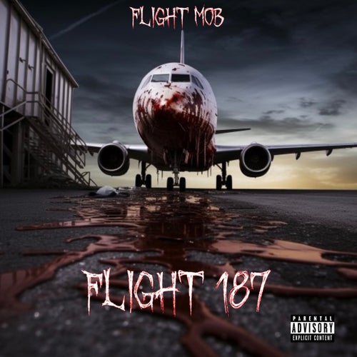 Flight 187