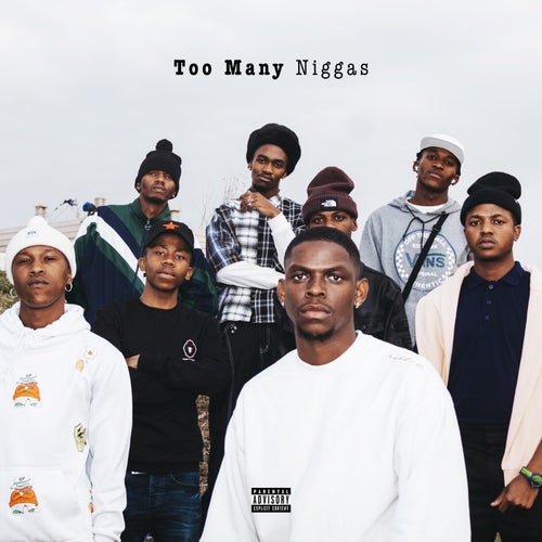 Too Many Niggas