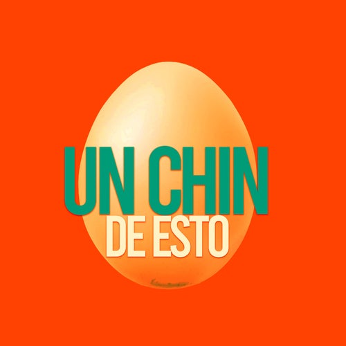 UN CHIN DE ESTO