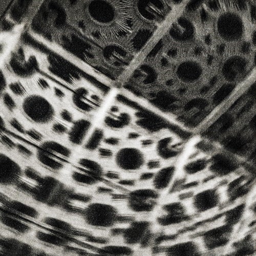 XTC
