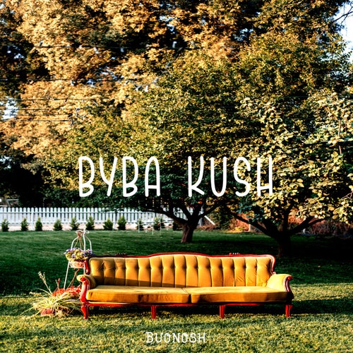 Byba Kush