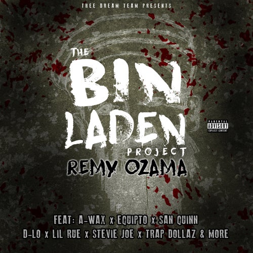 The Bin Laden Project