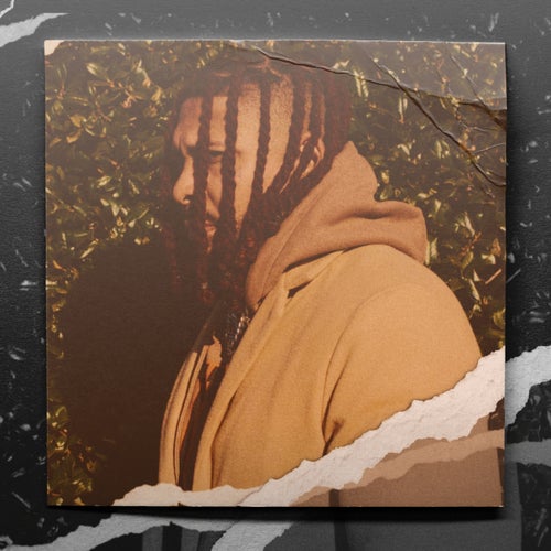 Release of the week