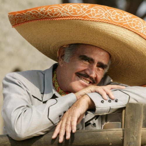 Vicente Fernández Profile