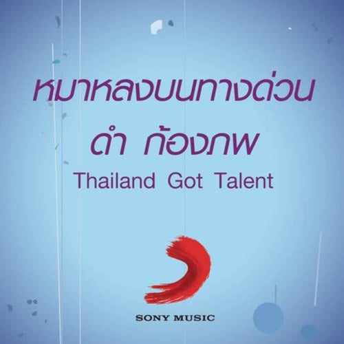 หมาหลงบนทางด่วน
