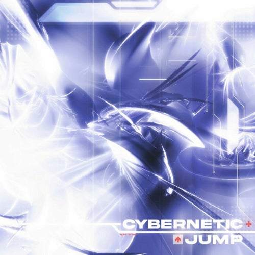 CYBERNETIC JUMP