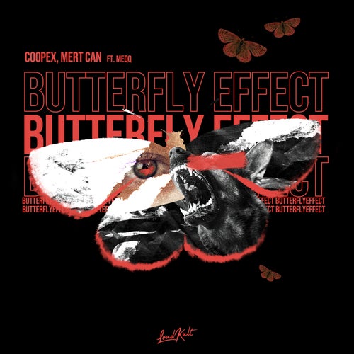 Butterfly Effect