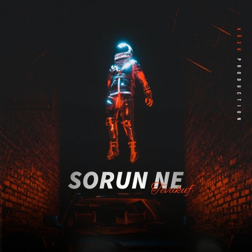 SORUN NE