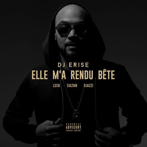 Elle m'a rendu bete (feat. Leck, Sultan, Djazzi)