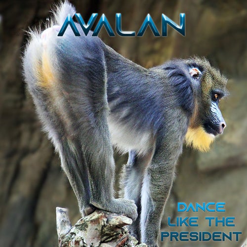 Avalan Profile