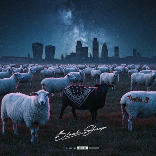 Black Sheep
