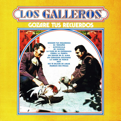 Gozare tus recuerdos