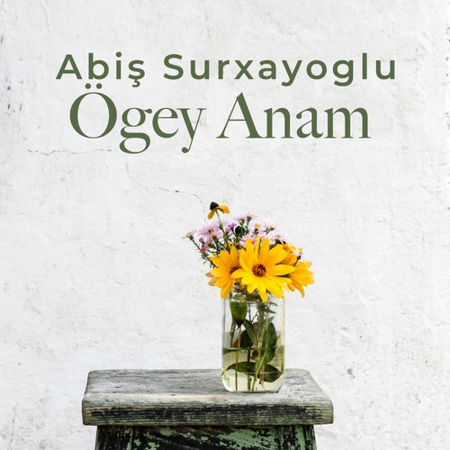 Ögey Anam