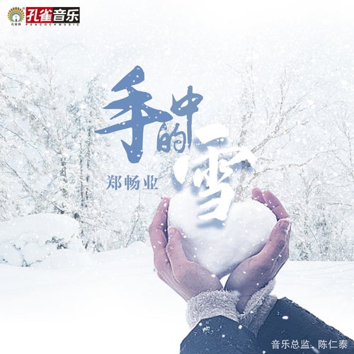 手中的雪