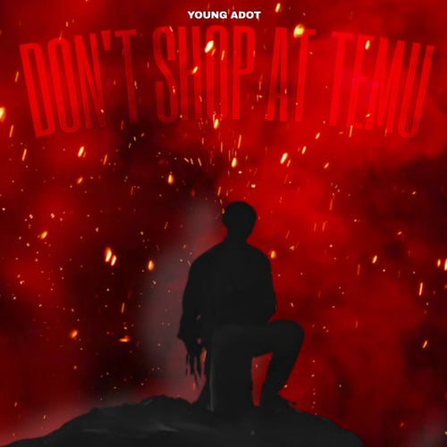 Don't Shop at Temu (Radio Edit)