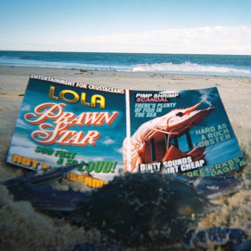 PRAWN STAR