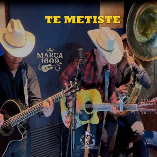 Te Metiste