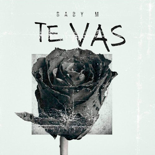 Te vas