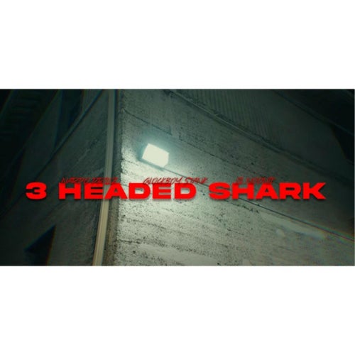 3 Headed Shark