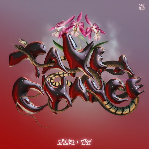 Take A Chance (Extended Mix)