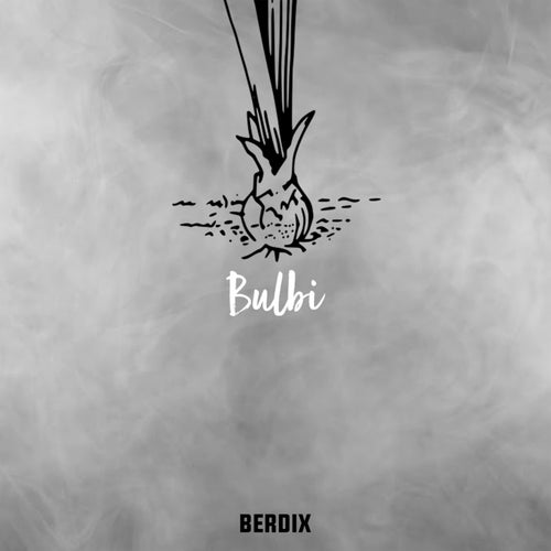 Bulbi