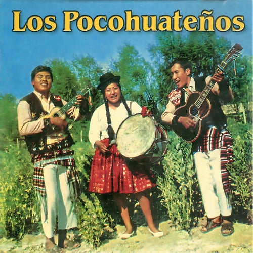 Los Pocohuateños