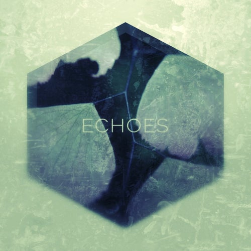 Echoes