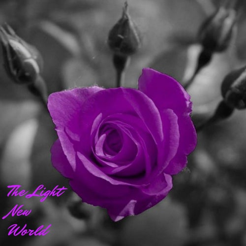 The Light New World
