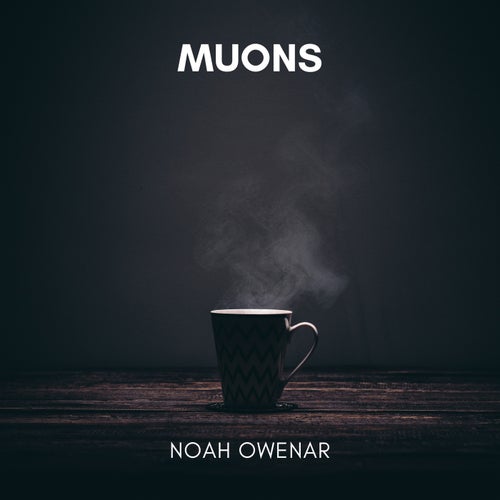 Muons