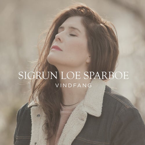Vindfang