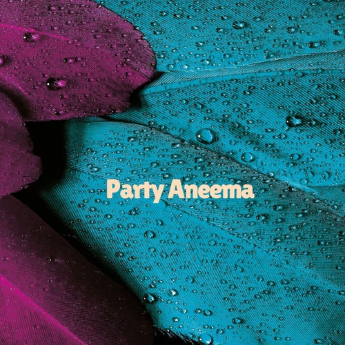 Party Aneema