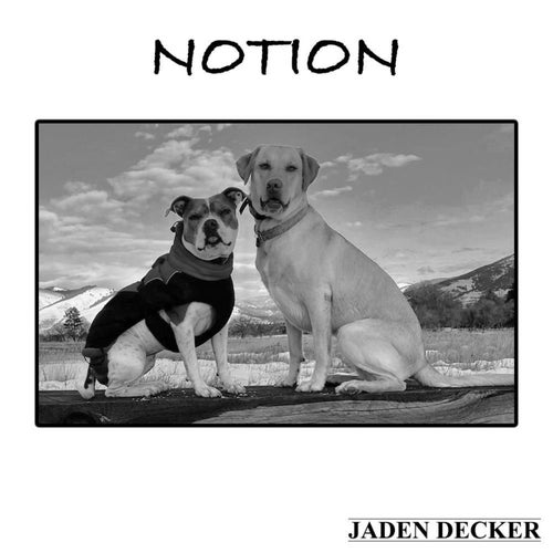Notion