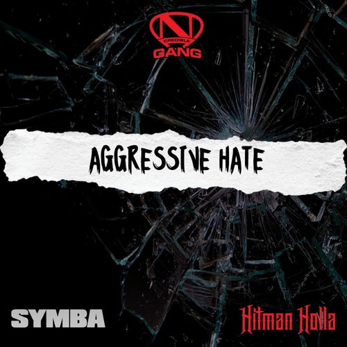 Aggressive Hate (feat. Symba & Hitman Holla )