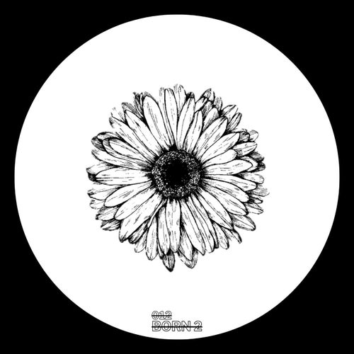 Release of the week