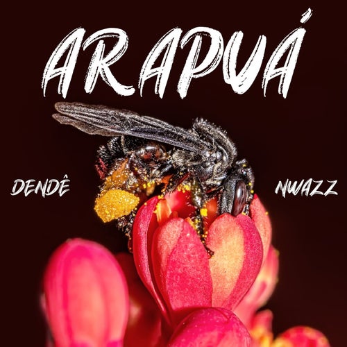 Arapuá